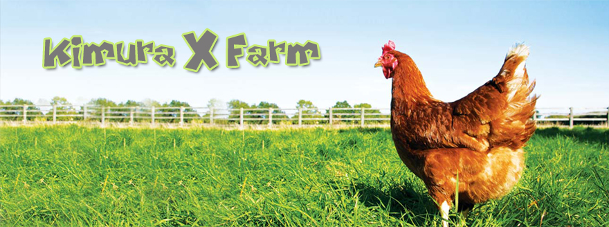 木村実験農場　- Kimura eXperimental Farm –