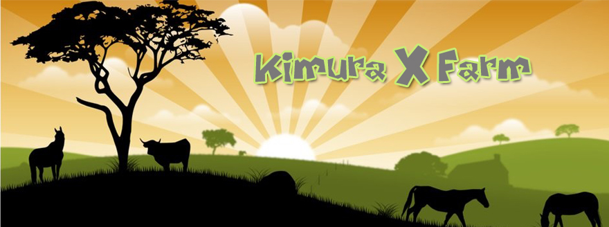 木村実験農場　- Kimura eXperimental Farm –