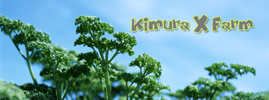 木村実験農場　- Kimura eXperimental Farm –
